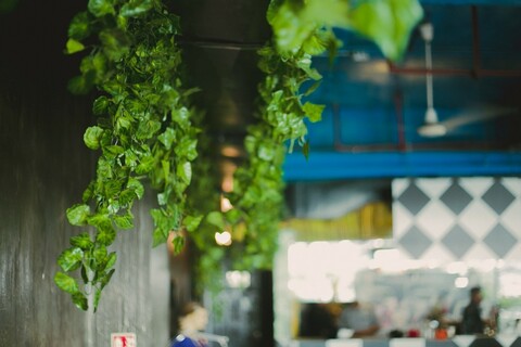 Cyber Hub Specialty Restaurant 3 Cyber Hub Specialty Restaurant 3